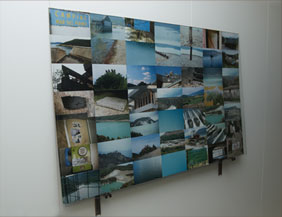Ibon Aranberri: Domestic Landscapes, 2006-2007